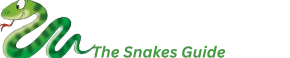 thesnakesguide.com